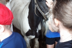 1b i 3b w Nowej Wsi Kosowskiej 