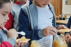 Dzien-Jablka-14