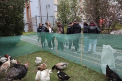 Dzien-otwarty-w-ZSCKR-104