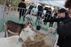 Dzien-otwarty-w-ZSCKR-93