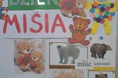 DZIEN-PLUSZOWEGO-MISIA-2