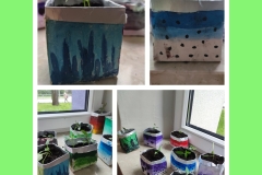 Eko Doniczki w klasie 2 b