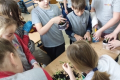 Eko-Doniczki-w-klasie-2-b-1