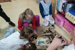 Eko-Doniczki-w-klasie-2-b-2