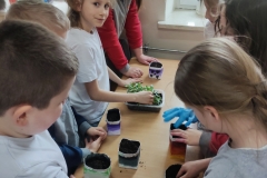 Eko-Doniczki-w-klasie-2-b-3