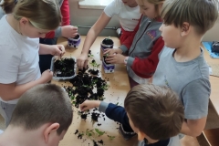 Eko-Doniczki-w-klasie-2-b-5