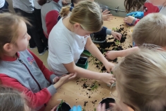 Eko-Doniczki-w-klasie-2-b-6