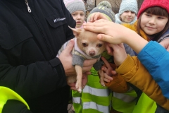 87547984_230413498126091_7520958566790856704_n