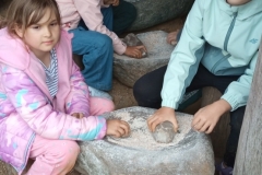 Klasy 2a, 2 b i 3 w Mamuciej Dolinie