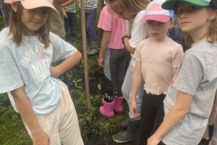 Klasy-2a-2-b-i-3-w-Mamuciej-Dolinie-10