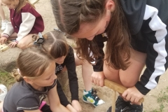 Klasy-2a-2-b-i-3-w-Mamuciej-Dolinie-21