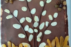 93090890_231944104680178_2248489205648850944_n