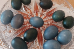 93290876_524174801605214_1940196513271513088_n