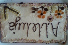 93518672_564983554224111_2468936562553913344_n