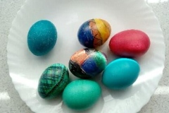 93638564_344187323208217_6541831526542213120_n