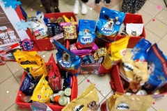 Mikolaj-dla-Psiaka-i-Kociaka-3