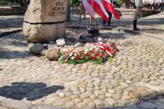 Obchody-Swieta-Wojska-Polskiego-8