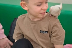 papuga-w-Zerowce-5