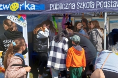 Piknik-miejski-2022-25