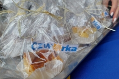 Piknik-miejski-2022-34