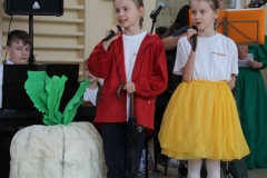 piknik-rodzinny-2022-18