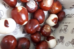 jesien-w-swietlicy-2