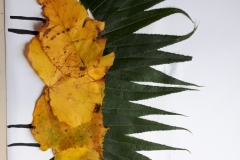 jesien-w-swietlicy-5