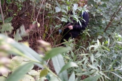 Sprzątamy dla Polski