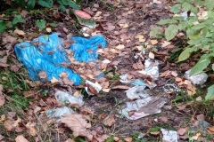 Sprzatamy-dla-Polski-15