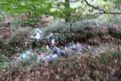 Sprzatamy-dla-Polski-16