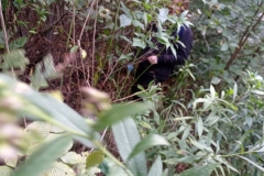 Sprzatamy-dla-Polski-19