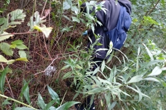 Sprzatamy-dla-Polski-20