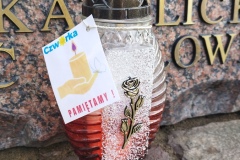 Szkolne-Kolo-Wolontariatu-Dar-serca-11