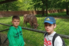 Wycieczka-3a-i-4a-do-Bialowiezy-12