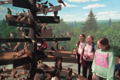 Wycieczka-3a-i-4a-do-Bialowiezy-7