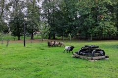 Wycieczka-do-Ciechanowca-7