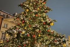 Wycieczka do Warszawy kl.2 b