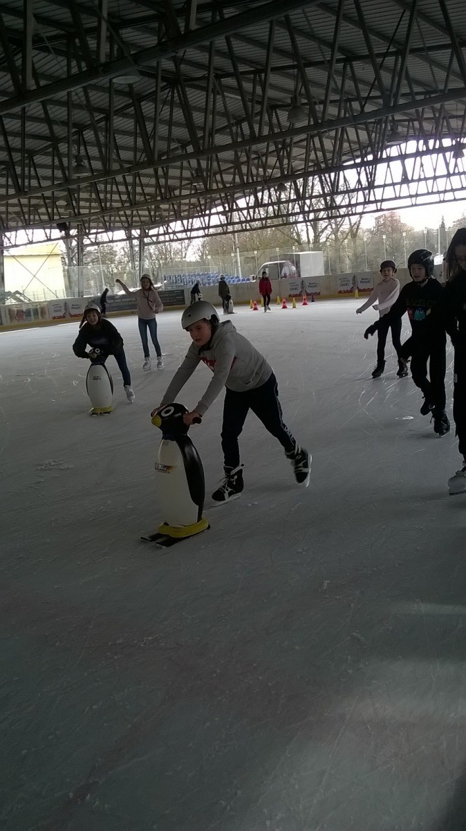 WP_20200303_10_06_36_Pro