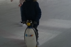 WP_20200303_09_46_09_Pro