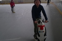 WP_20200303_09_46_22_Pro