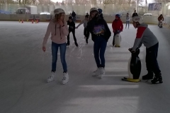 WP_20200303_09_47_06_Pro