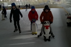 WP_20200303_09_47_33_Pro