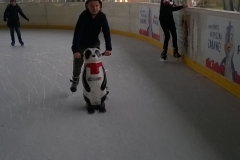 WP_20200303_09_49_49_Pro