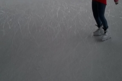 WP_20200303_09_54_16_Pro