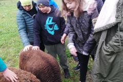 wycieczka-klasy-6b-3