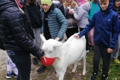 wycieczka-klasy-6b-4